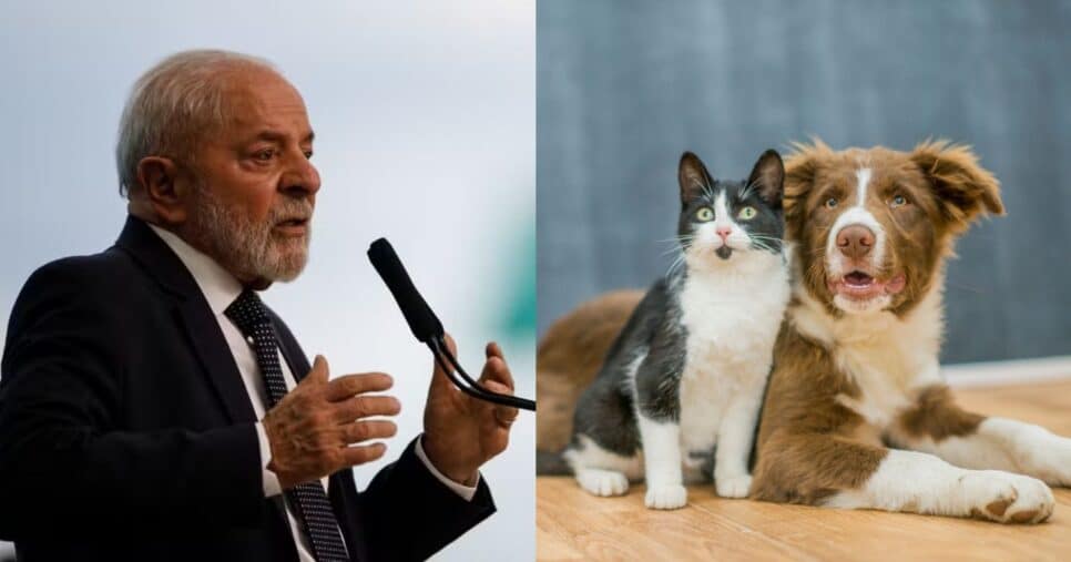 Lula assina decreto com proibição que abala donos de pets (Reprodução/O Globo/Canva)