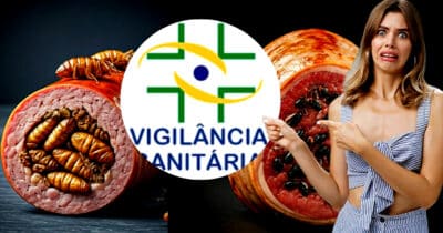 Vigilância Sanitária interdita açougue de supermercado por carne recheada com insetos (Foto Reprodução/Montagem/Lennita/Tv Foco/Canva/VISA)