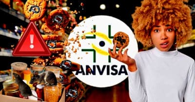 ANVISA baixa decreto contra tempero nº1, biscoitos e mais 1 popular em 2024 (Foto Reprodução/Montagem/Lennita/Canva/ANVISA)