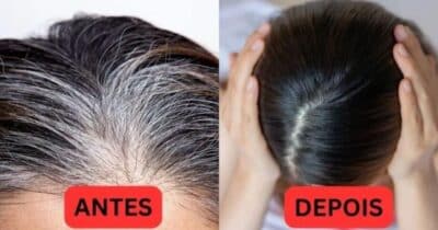 Tinta natural reverte até o último fio de cabelo branco sem amônia - Foto: Internet