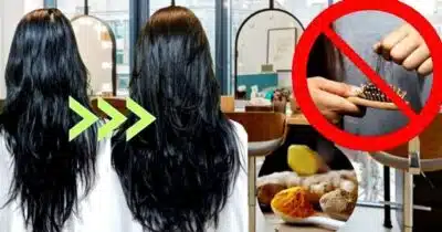 Descubra os 7 passos para eliminar a queda e deixar o cabelo volumoso em 2025 (Foto Reprodução/Montagem/Lennita/Tv Foco/Canva)