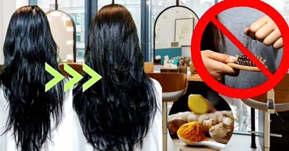 Descubra os 7 passos para eliminar a queda e deixar o cabelo volumoso em 2025 (Foto Reprodução/Montagem/Lennita/Tv Foco/Canva)