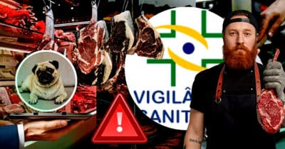 Vigilância Sanitária decretou a interdição de açougue após 3 viradas, incluindo até mesmo venda de carne de cachorro e prisão (Foto Reprodução/Montagem/Lennita/TV Foco/Canva)