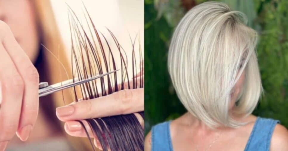 3 cortes de cabelo que rejuvenescem para arrasar em 2025 - Foto: Internet