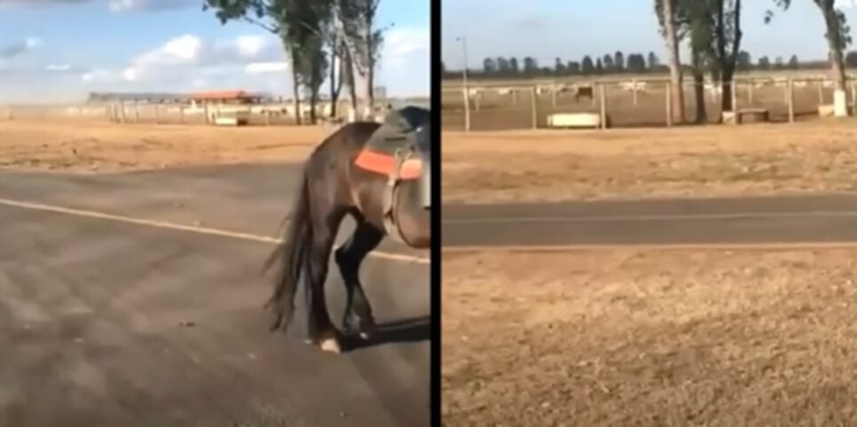 Confira imagens da absurda fazenda de Gusttavo Lima (Fotos: Reprodução/ YouTube/ Montagem)