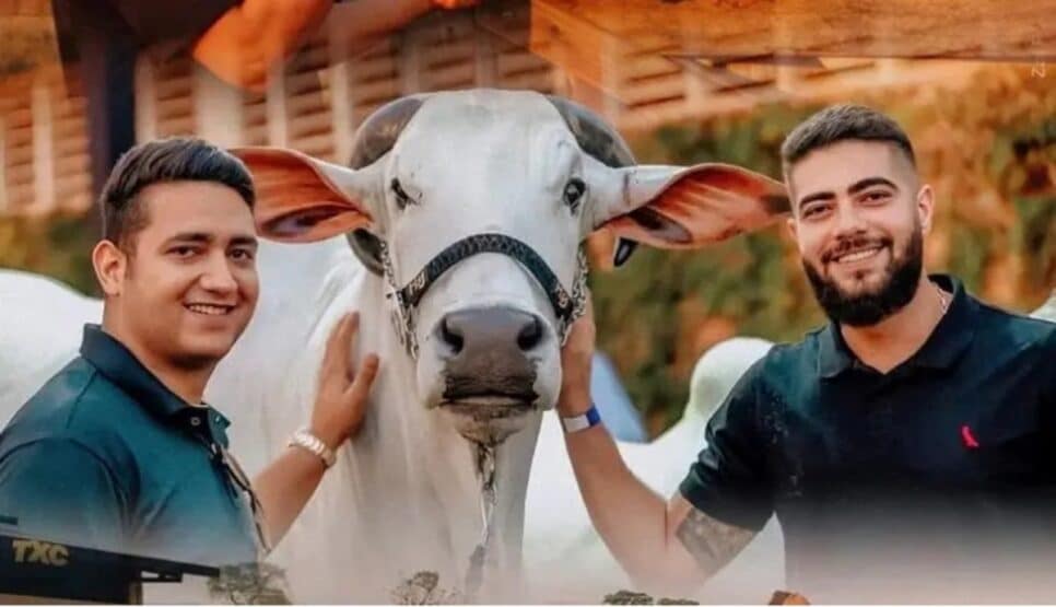 Os cantores sertanejos da dupla Henrique e Juliano são donos de fazenda maior que shopping (Foto: Reprodução/ Divulgação, Instagram)