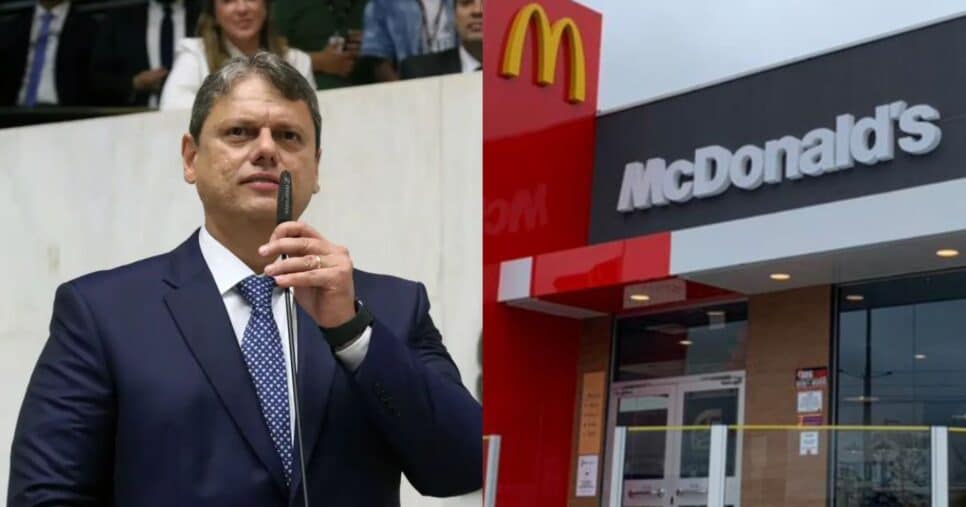 Tarcísio de Freitas, McDonald's