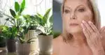 Planta rejuvenescedora acaba com rugas e manchas - (Montagem / TV FOCO)