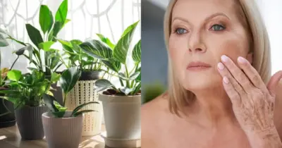 Rostinho jovem eternamente: Planta rejuvenescedora acaba com rugas e manchas em 7 minutos