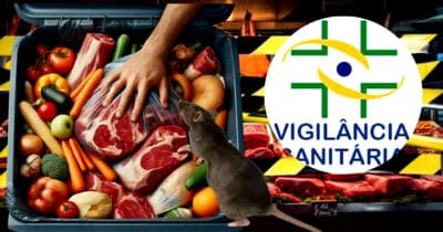 Vigilância Sanitária interdita açougue em rede de supermercado popular após irregularidades (Foto Reprodução/Montagem/Lennita/Tv Foco/Canva/VISA)