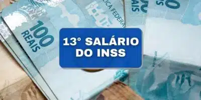 13° salário do INSS (Foto: Reprodução/  Internet)
