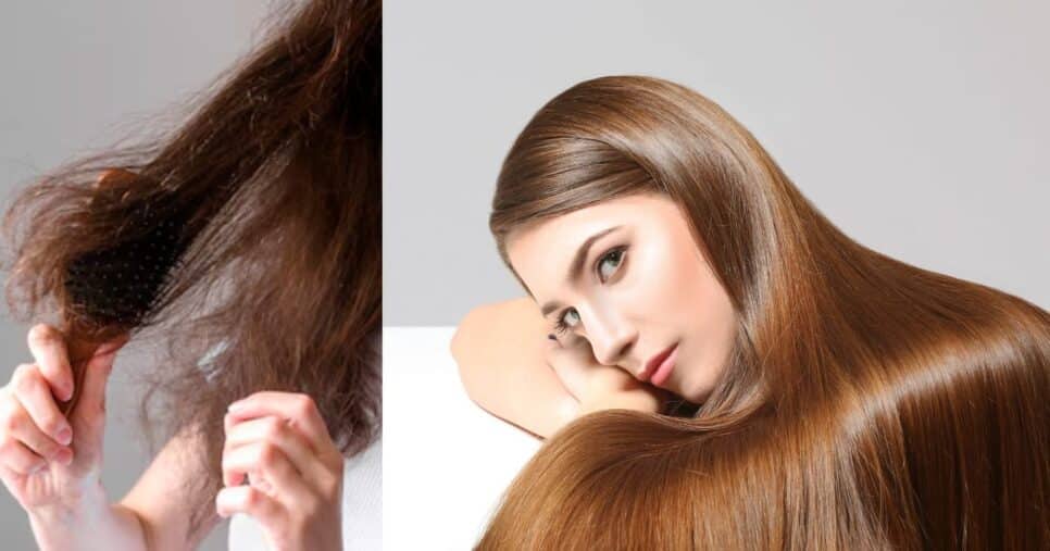 Cabelo ressecado e modelo (Fotos: Canva)