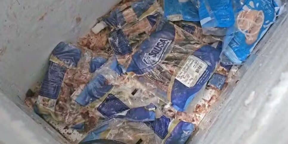 Carnes estragadas (Foto: Reprodução / Globo)