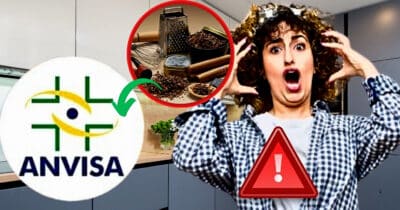 ANVISA faz alerta contra produtos amplamente usados na cozinha (Foto Reprodução/Montagem/Tv Foco/Canva)