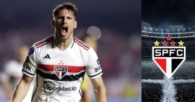 Montagem Lucas Gioia Tv Foco