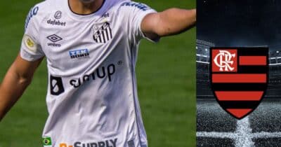 Montagem Lucas Gioia Tv Foco