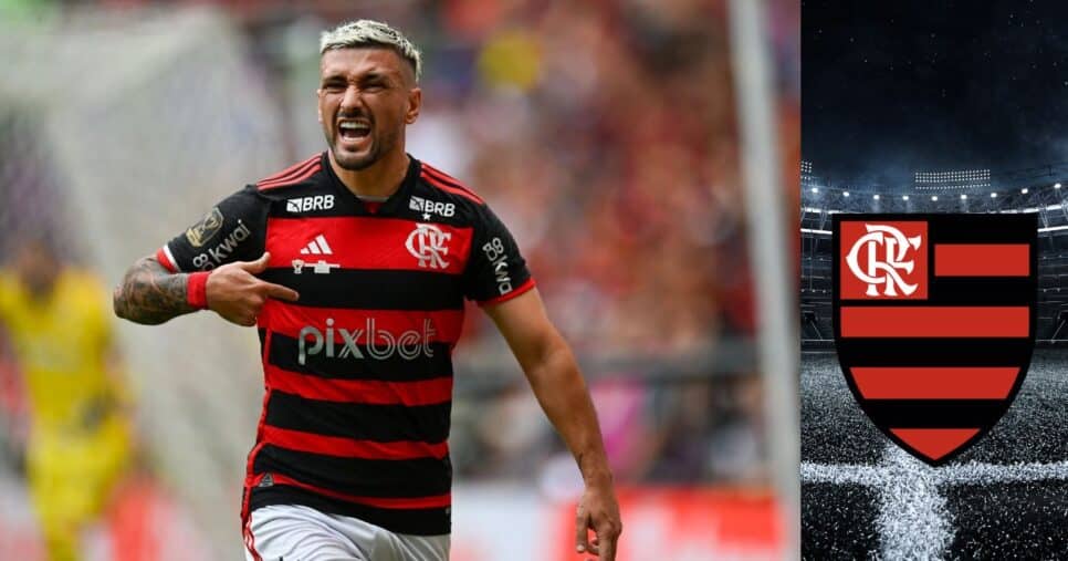 Montagem Lucas Gioia Tv Foco
