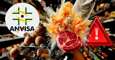 ANVISA confirma o recolhimento de três marcas de ovos, carne e farinha após descoberta (Foto Reprodução/Lennita/Tv Foco/Canva)