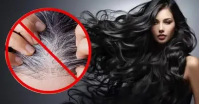 Adeus, gastos com salão: Tinta natural com alecrim e +5 ingredientes cobre o cabelo branco sem gastar nada