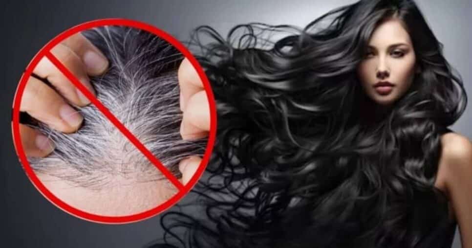 Fim do cabelo branco com receita caseira - Foto Reprodução Internet