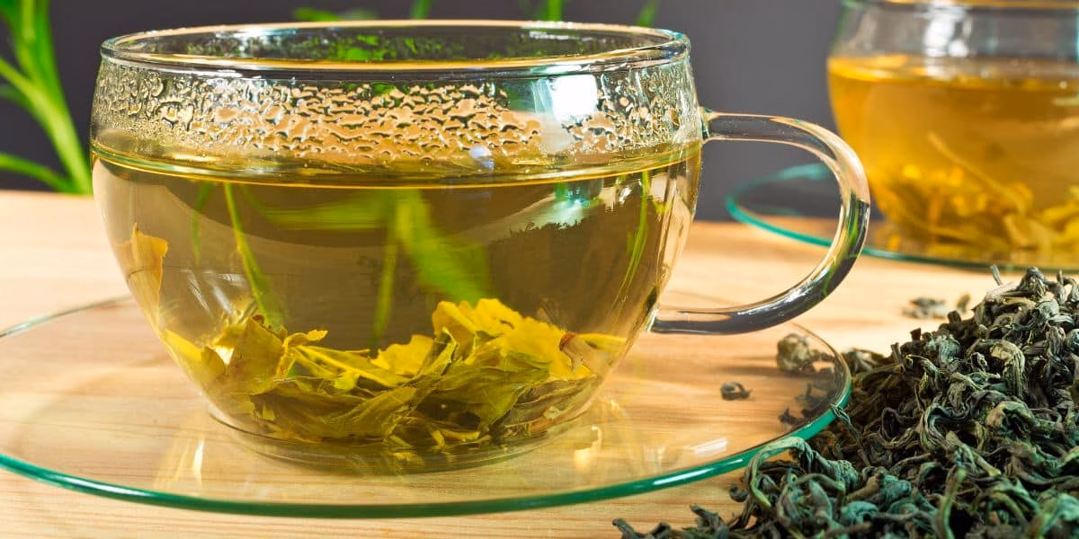 Chá verde faz bem para a saúde (Foto: Canva) Chá verde faz bem para a saúde (Foto: Canva)