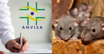 Pelos de rato em molho de tomate, chás e uva passa: Decreto da ANVISA traz confirmação sobre 3 populares