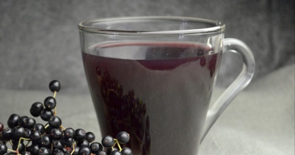 Suco de sabugueiro (Foto: Reprodução/ Internet)