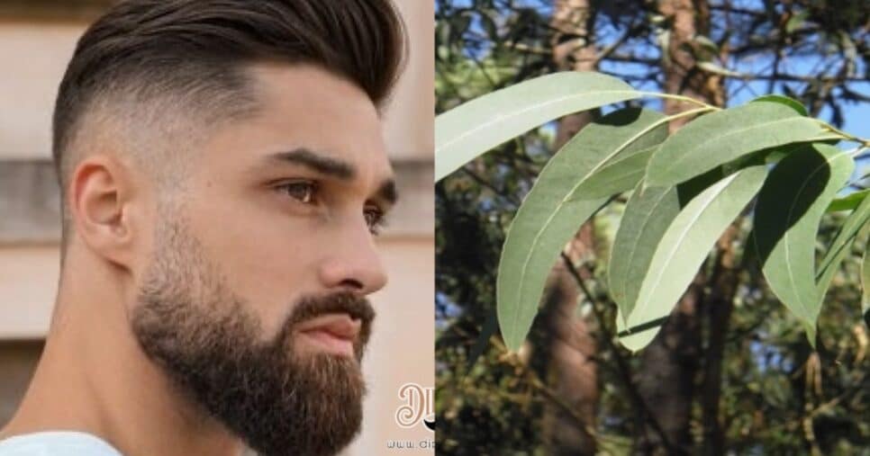 Receitas de óleos de crescimento de barba - Foto: Internet