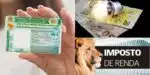 Isenção na CNH, conta de luz e IR à milhares de brasileiros (Reprodução: Montagem TV Foco)