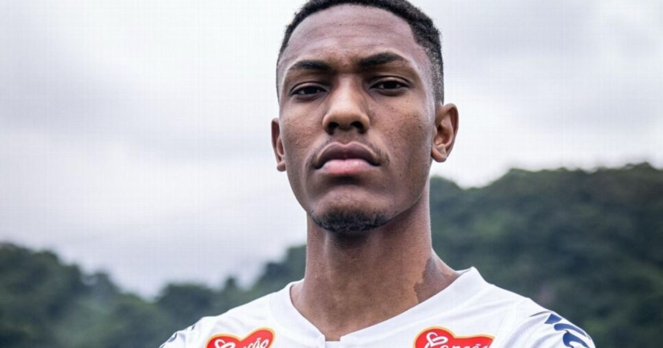 Luisão é anunciado no Santos - Raul Baretta/Santos FC