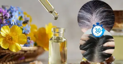 Mais potente que tinta: Óleo natural faz até o último fio de cabelo grisalho desaparecer em 30 minutos