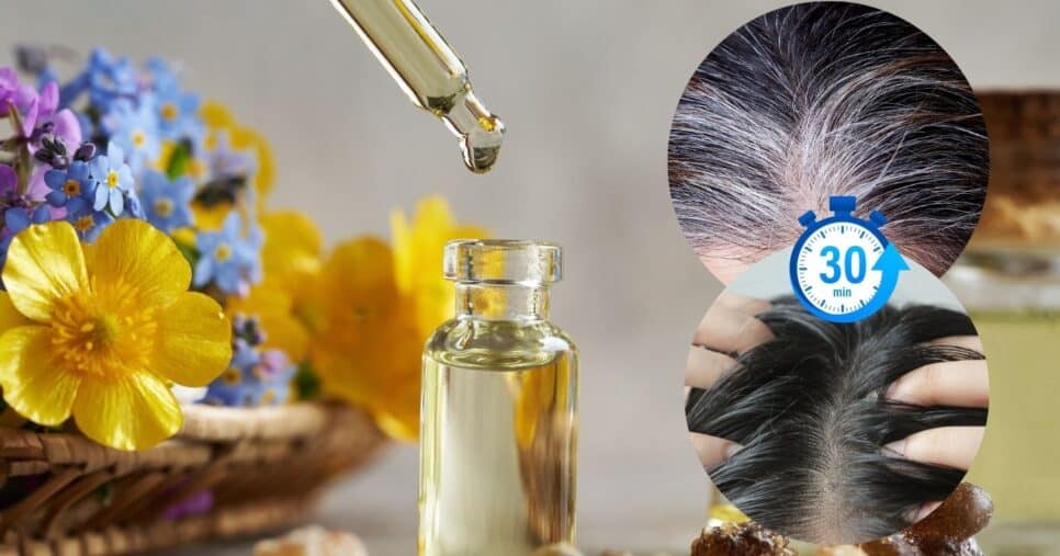 Óleo natural, cabelo grisalho e fios escuros (Foto: Reprodução / Canva / Montagem TV Foco)