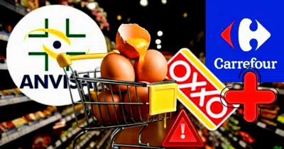 Decreto contra ovos é exibido em matéria do Jornal da Band e ANVISA liga o alerta (Foto Reprodução/Montagem/Lennita/Tv Foco/Canva)