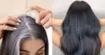 Receita com 2 ingredientes caseiros elimina cabelo grisalho das 60+ em minutos - Foto: Internet