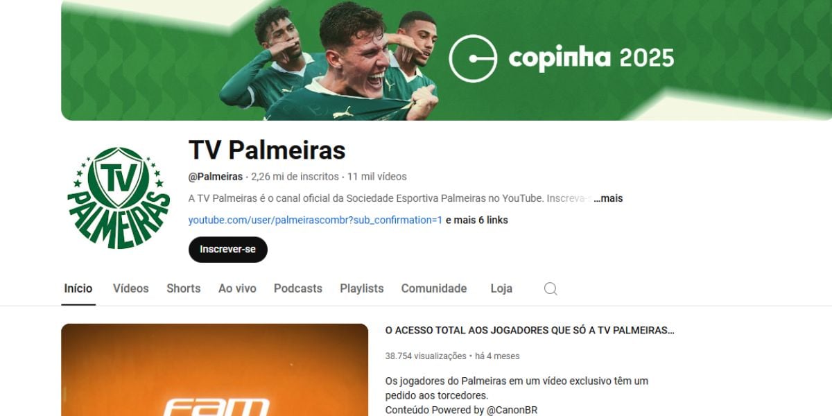 O Palmeiras tem pouco mais de 2 milhões de inscritos (Reprodução: Internet)