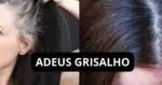 ADEUS GRISALHO - Montagem: TVFOCO