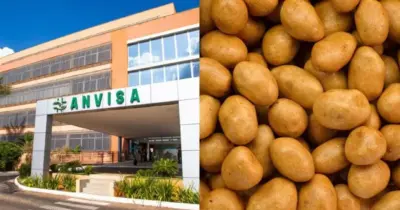 Anvisa faz proibição contra marca n°1 de amendoim no Brasil e retira de mercados após descoberta