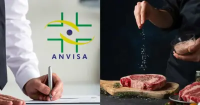 Alerta donas de casa: Anvisa confirma recolhimento de marca de sal e carne n°1 após descoberta