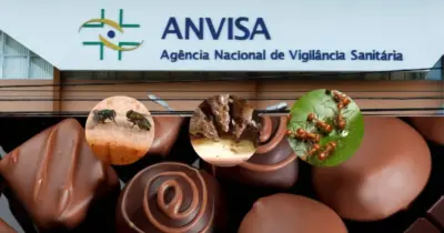 Pedaços de moscas, pelo de rato e formigas: Decreto da ANVISA sobre chocolate tem 3 descobertas nojentas