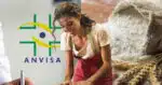 Anvisa - Farinha (Foto: Reprodução)