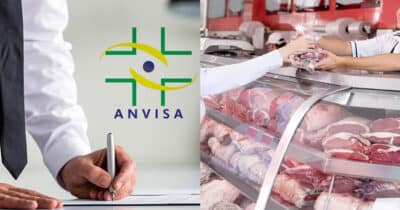 Anvisa - açougue (Foto: Reprodução)
