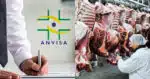 Anvisa frigorifico (Foto: Reprodução)