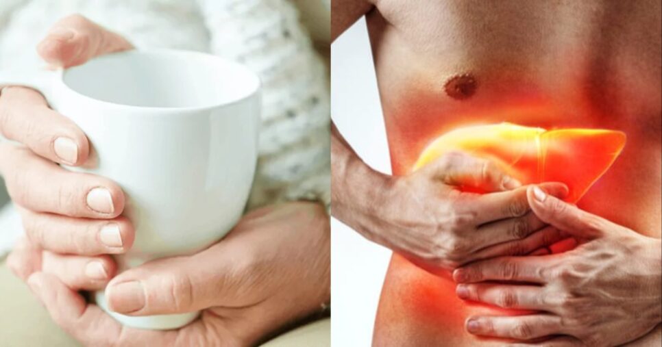 Chá com 3 ingredientes elimina o colesterol ruim dos idosos 60+ (Foto: Reprodução/ Internet)