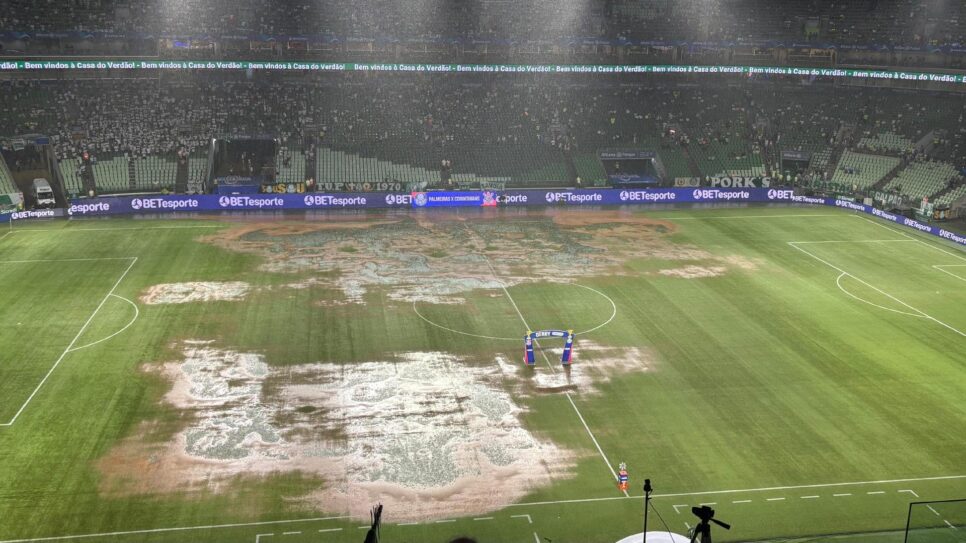 Estádio do Palmeiras (Reprodução - Internet)