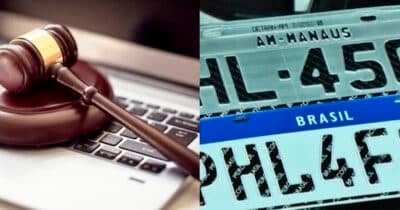 Lei - Placas (Foto: Reprodução)
