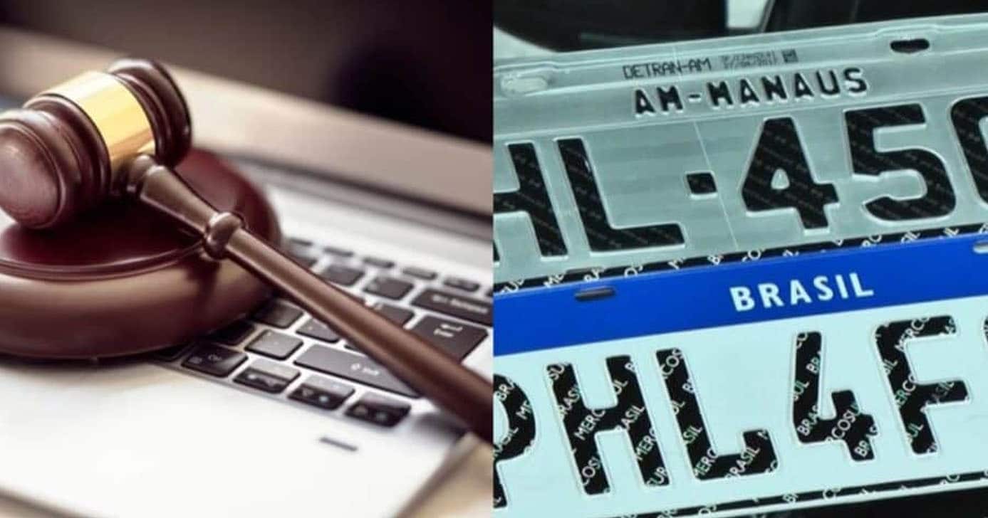 Lei - Placas (Foto: Reprodução)