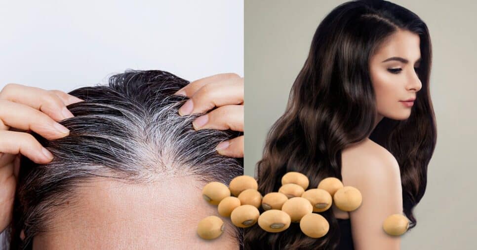 Misturinha com soja +3 ingredientes reverte o cabelo branco (Reprodução/Montagem TV Foco/Canva)