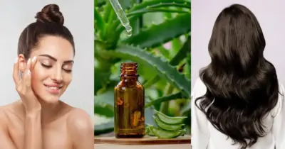 Fim das irritações, oleosidade, flacidez e+: 5 plantas recuperam os cabelos e trazem pele de bebê às 50+