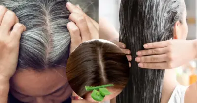 Elimina o grisalho sem química: Tinta natural com Aloe Vera e +3 ingredientes aniquila o cabelo branco