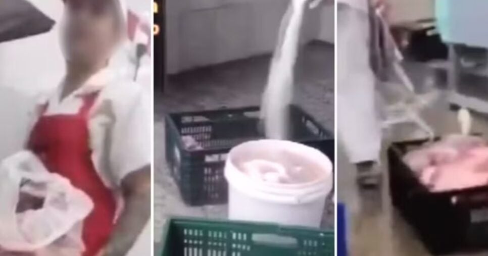 Açougue é interditado em SP por nojeira - Foto: Reprodução/G1